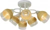 LSP-0157 Потолочная люстра Lussole Lgo LSP-0157