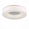 SL886.502.01 Потолочный светильник ST Luce Lordin SL886.502.01
