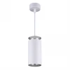 DLS021 9+4W 4200К белый матовый/серебро Подвесной светильник Elektrostandard DLS021 9+4W 4200К белый матовый/серебро