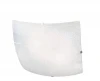 A7031PL-2CC Потолочный светильник Arte Lamp МУНlight A7031PL-2CC