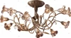 1814/12 Потолочная люстра Odeon Light Aura 1814/12