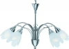 A4905LM-5SS Подвесная люстра Arte Lamp Petal A4905LM-5SS