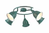 A9557PL-5BG Спот Arte Lamp Campana A9557PL-5BG