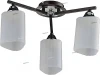 TC-400-403 WG Люстра потолочная Toscom Filla, 3 плафона, венге с хромом и белым