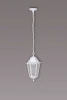 79805M Уличный светильник подвесной Oasis Light Petersburg M White 79805M