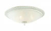 SL135.502.04 Потолочный светильник ST Luce SL135 SL135.502.04