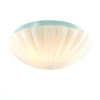 SL495.502.03 Потолочный светильник ST Luce Bagno SL495.502.03