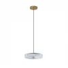 Viro L 1.5.28 G Подвесной светильник светодиодный Arti Lampadari Viro Viro L 1.5.28 G (220V, на проводе, круглые)