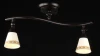 ECO001-02-R Спот Maytoni Spot 1 ECO001-02-R