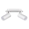 3873/2C Спот Odeon Light Corse 3873/2C