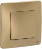BLNVS010104 Выключатель встраиваемый одноклавишный (титан) Systeme Electric Blanca BLNVS010104