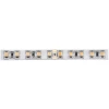 DL-18381/W.White-24-120 Donolux Светодиодные ленты 24V DL-18381/W.White-24-120