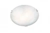A7030PL-2CC Потолочный светильник Arte Lamp МУНlight A7030PL-2CC