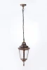 79755S Gb Уличный светильник подвесной Oasis Light 79755S Gb (220V, на цепи, IP44)
