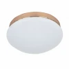 2465-1C Потолочный светильник F-Promo Ledante 2465-1C