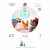 FITO-Dim 9W Chicken E27 Лампа для птиц и рептилий с UVB спектром ЭРА FITO-Dim 9W Chicken E27
