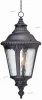 L76701.80 Подвес уличный L'Arte Luce Cardigan, 1 плафон, черный, прозрачный