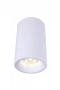 A3105PL-1WH Потолочный светильник Arte Lamp Ugello A3105PL-1WH