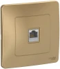 BLNIS045004 Розетка встраиваемая Ethernet RJ-45 (титан) Systeme Electric Blanca BLNIS045004