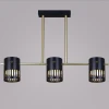 06675-0.3-03 GD+BK GX53 Потолочная люстра на штанге Reluce 06675-0.3-03 GD+BK GX53 (220V)