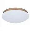 2466-2C Потолочный светильник F-Promo Ledante 2466-2C