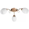 TL3520X-03FG Потолочная люстра Toplight Kristin TL3520X-03FG