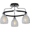 412-03-63CDW chrome + dark wengue Потолочная люстра N-Light 412 412-03-63CDW chrome + dark wengue