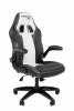 CHAIRMAN ДРАЙВ (GAME) 15 Кресло Chairman game 15 Россия экокожа черный/серый/белый 7213472