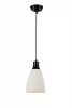 SL236.453.01 Подвесной светильник ST Luce SL236.453.01
