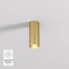 DK2615-SB Накладной светильник Denkirs Shine Tube DK2615-SB 7W сатинированная латунь (LED, 220V, круглые)