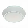 SL496.502.03 Настенно-потолочный светильник ST Luce Bagno SL496.502.03