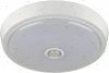 DLY310 Elektrostandard DLY310