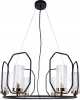 A7004SP-6BK Подвесная люстра Arte Lamp Celaeno A7004SP-6BK