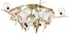 537 Luminex Asteria 537