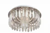 SL733.102.15 Потолочный светильник ST Luce SL733 SL733.102.15