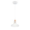 P016PL-01W Подвесной светильник Maytoni Ola P016PL-01W