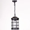 81205 Bl Уличный светильник подвесной Oasis Light 81205 Bl (220V, на цепи, IP44)