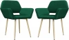 HSBI_Y2006_emerald_2 Набор из 2 стульев Serene Enigma Hesby Велюр/Зеленый арт.HSBI_Y2006_emerald_2