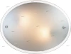 2272 Настенно-потолочный светильник Sonex Opal 2272