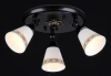 ECO001-33-R Спот Maytoni Spot 1 ECO001-33-R