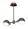 LSL-5303-02 Потолочная люстра Lussole Emilia LSL-5303-02