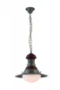 A3348SP-1BG Подвесной светильник Arte Lamp Gambrinus A3348SP-1BG