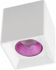 DK3080-WH+PI Накладной точечный светильник Denkirs DK3080-WH+PI