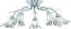 A5494PL-5CC Потолочная люстра Arte Lamp Lily A5494PL-5CC