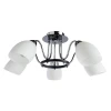A7144PL-5BK Потолочная люстра Arte Lamp Fiorentino A7144PL-5BK