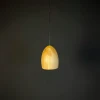 40.156 Подвесной светильник Large Oak D13 Imperiumloft 40,156 (213680-22) (LED, 220V, на проводе)