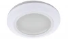 A2024PL-3WH Встраиваемый точечный светильник Arte Lamp Aqua A2024PL-3WH