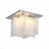 SL794.102.04 Потолочная люстра ST Luce Insolito SL794.102.04