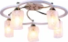 A6166PL-5WG Потолочная люстра Arte Lamp Carlo A6166PL-5WG