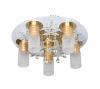 OML-17317-06 Потолочный светильник Omnilux Conflent OML-17317-06